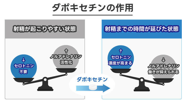 ダポキセチンの作用機序