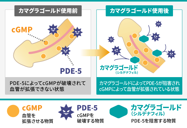 スーパー カマグラの効果の仕組み