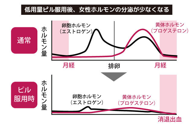 女性ホルモンの分泌