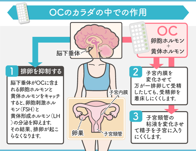 トリキュラーの作用