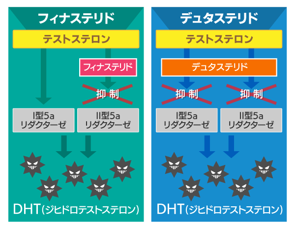 デュタス（ザガーロ）