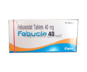 フェブシップ（フェブリクジェネリック） 80mg 10 錠